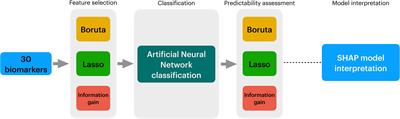 Model-interpreted outcomes of artificial neural networks classifying immune biomarkers associated with severe infections in ICU